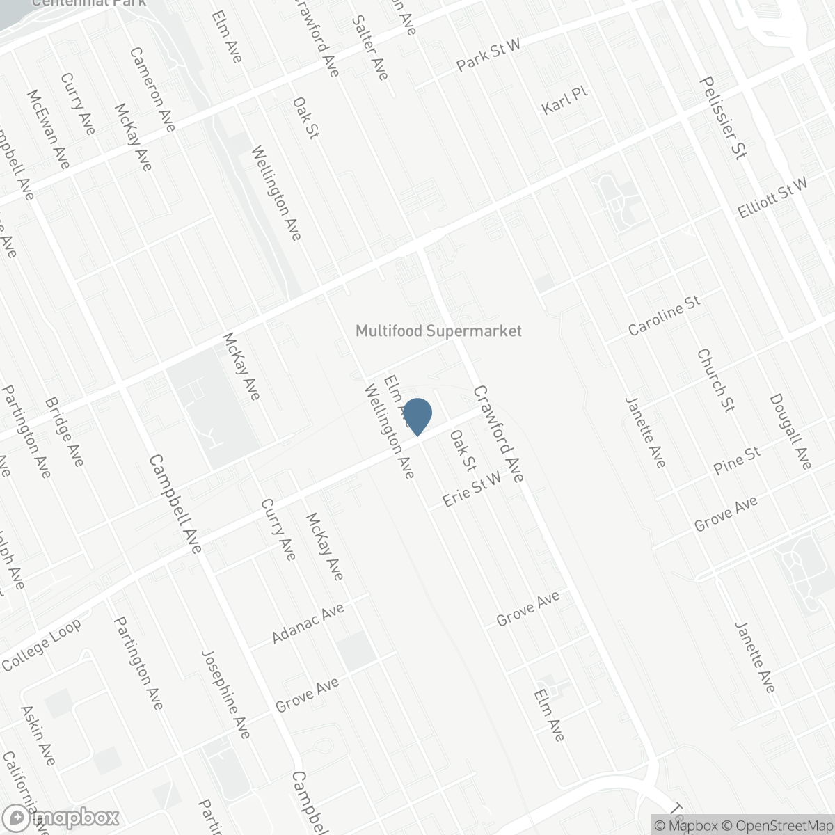 868 ELM, Windsor, Ontario N9A 5H3